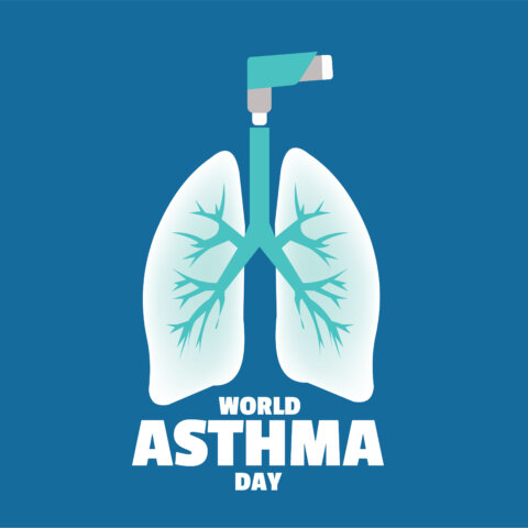 world asthma day vector graphic showing lungs directly attached to an inhaler
